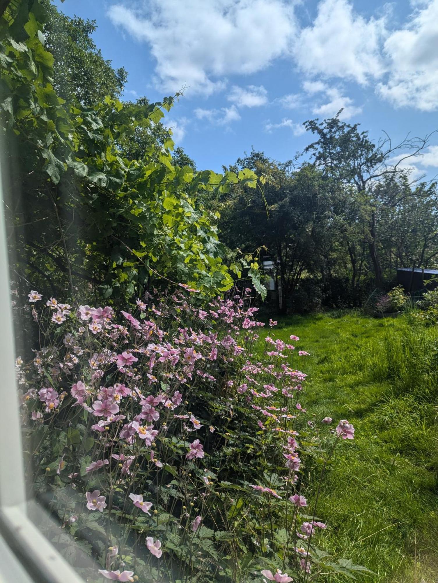 Lejlighed Ved Skov Græsted Extérieur photo
